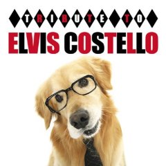 Tribute to ELVIS COSTELLO